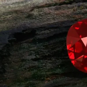 Rot